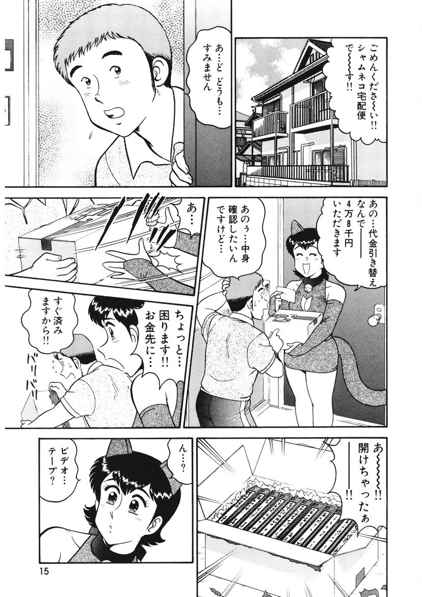 こちらシャムネコ宅配便-15